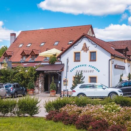 Penzion Samorost Jarosov nad Nezarkou Bagian luar foto