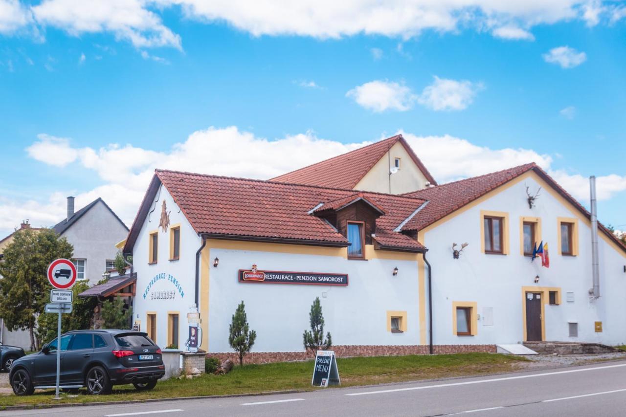 Penzion Samorost Jarosov nad Nezarkou Bagian luar foto